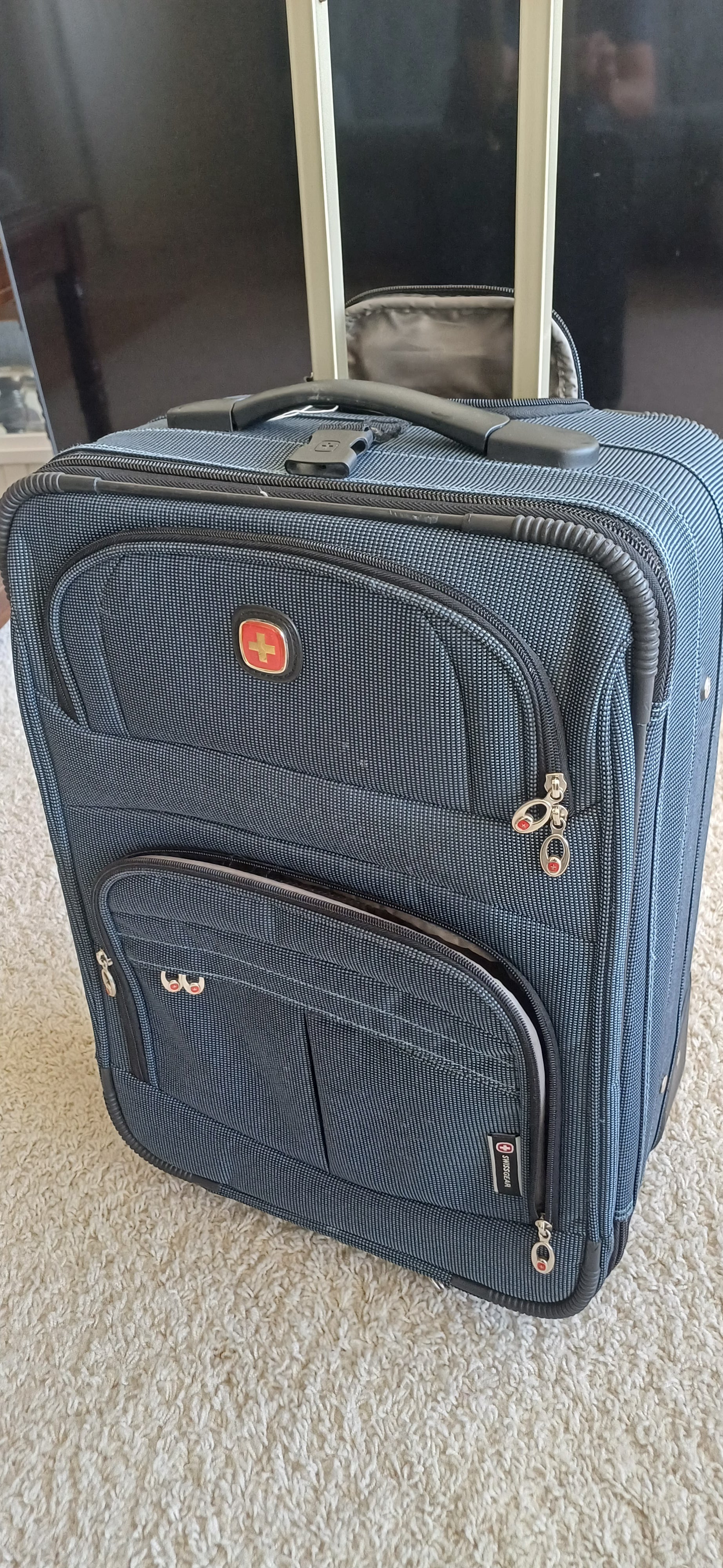 Swiss 19" Carry-On Suitcase